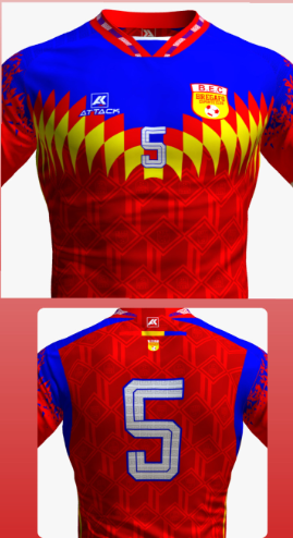 Camisa Linha